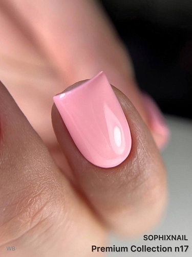 Sophixnail Premium Collection 17